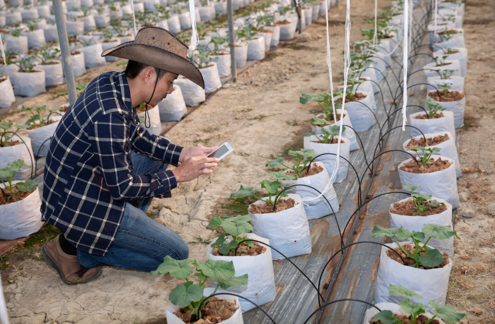 drip irrigation system for raised beds